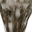 Centre de table naturel Vickerman