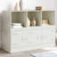 Analice Steel Accent Cabinet-192843038