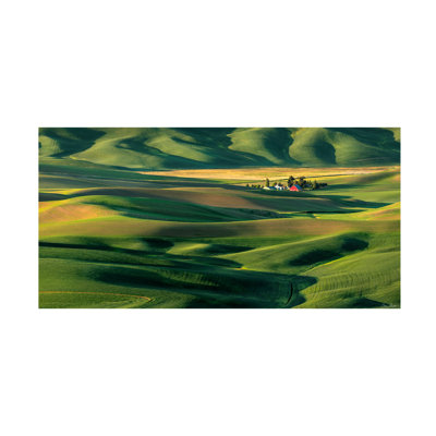 Bolognaise "The Palouse Countryside II" sur toile