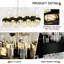 20 - Light Chandelier