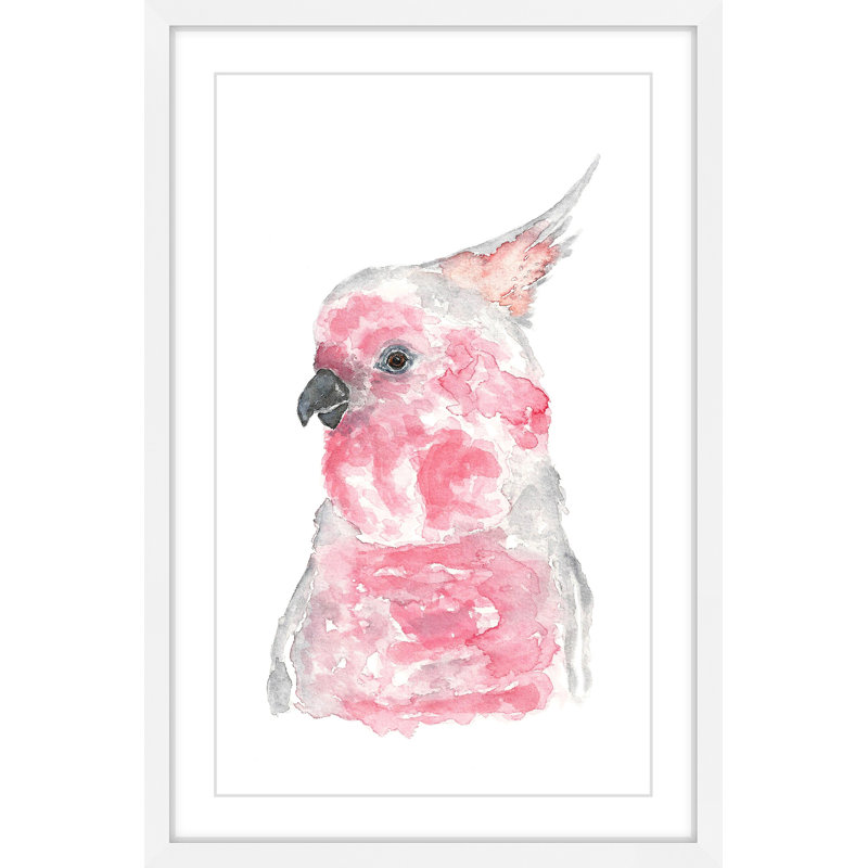 «Major Mitchell’S Cockatoo» par Thimble Sparrow, reproduction encadrée, H 30 po x l 20 po x P 1,5 po