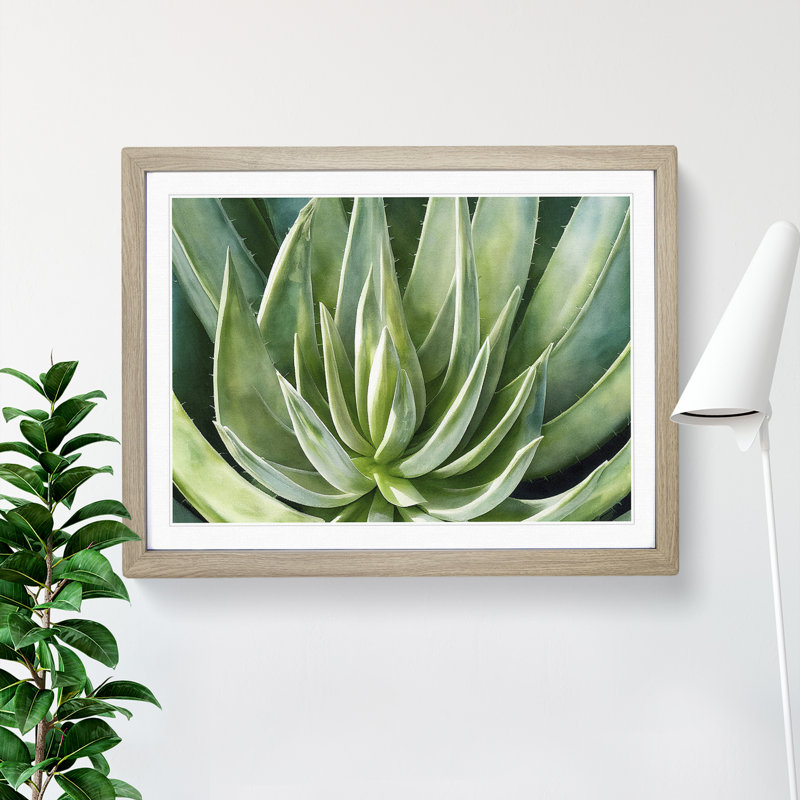 Watercolour Aloe Vera Plant - Single Picture Frame Painting, Oak Framed, 25cm H x 34cm W x 2cm D