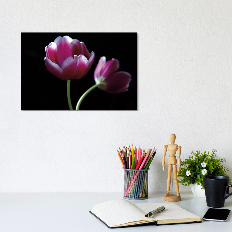Passion by Ily Szilagyi - Wrapped Canvas Print, 20.32 cm H x 30.48 cm W