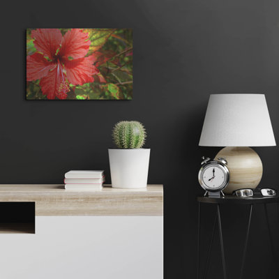 «Red Hibiscus» par Don Spears