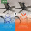 Ventilateur de plafond à 5 pales de 52 po avec lumières et chaînes à tirer Rosner-85433816