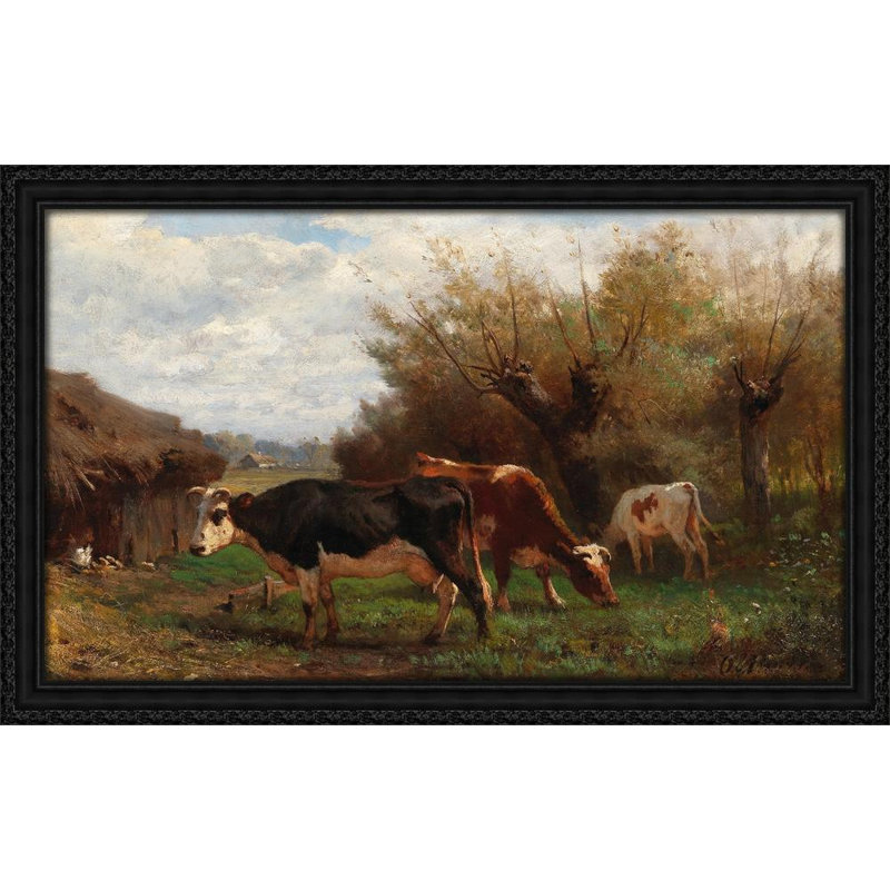 Cows Grazing