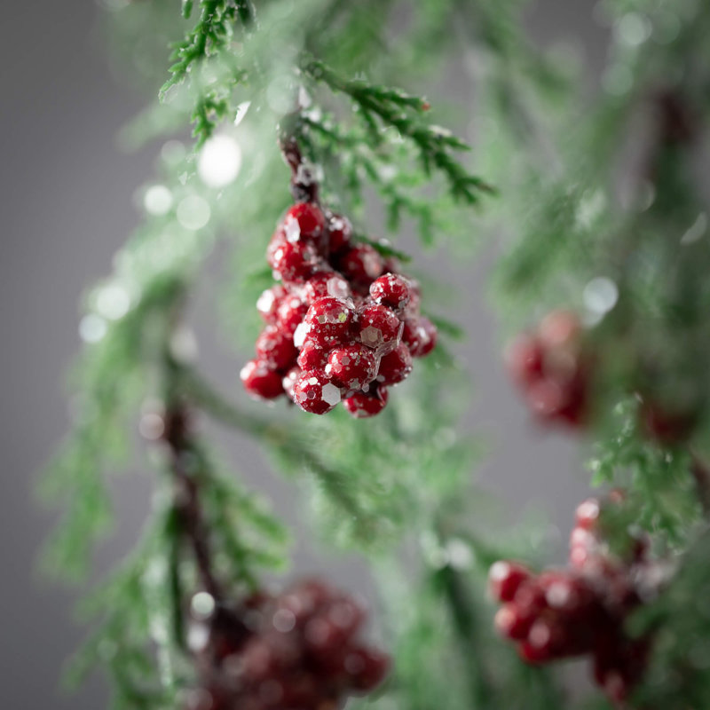 Vaporisateur de Noël 50 po