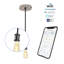 1 - Light Black LED Single Pendant