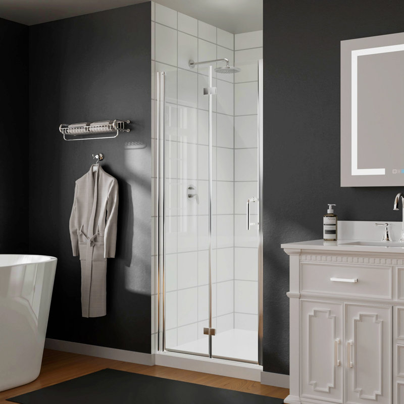 Porte de douche H 24 po x l 72 po