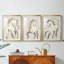 ANIMALS Series CECLXVI - Impression sur mesure encadrée de qualité supérieure - 3 pièces-2081959050-2081959054