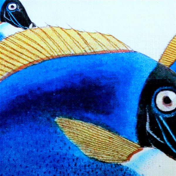 Coussin lombaire intérieur / extérieur Surgeonfish Fish