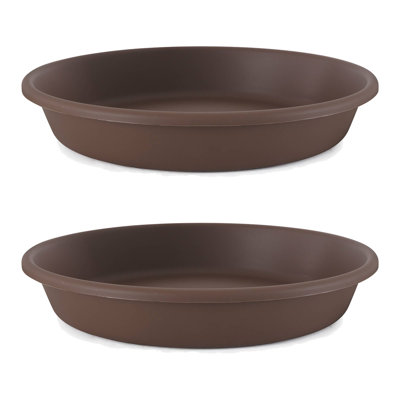 Senan Saucer Plant Stand