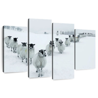 Brampt Winter Sheep