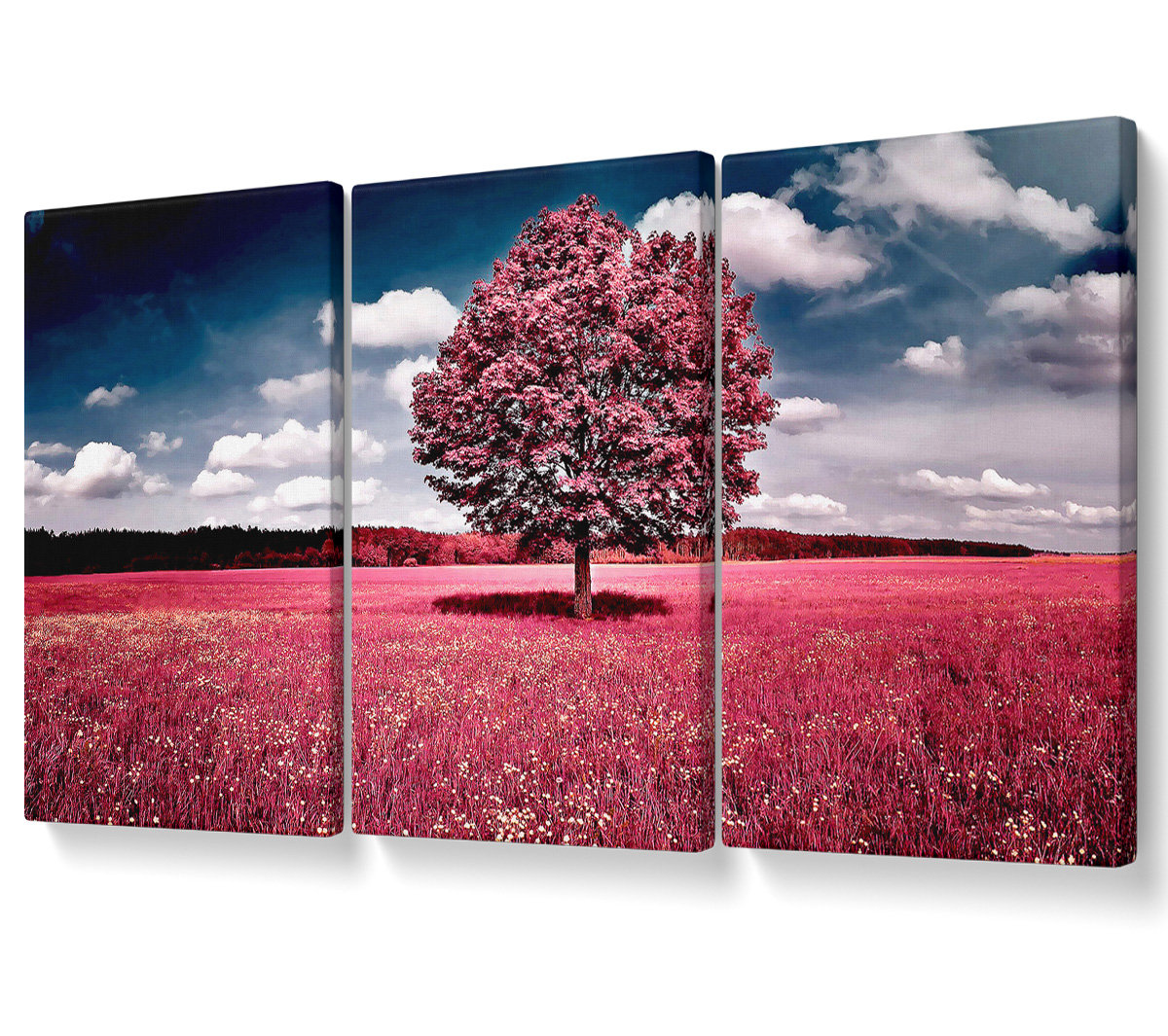 Ebern Designs Pink Field - 3 Piece Wrapped Canvas Graphic Art | Wayfair ...