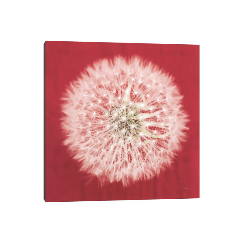 Dandelion On Red I by Aledanda - Wrapped Canvas Print, 45.72 cm H x 45.72 cm W x 1.91 cm D