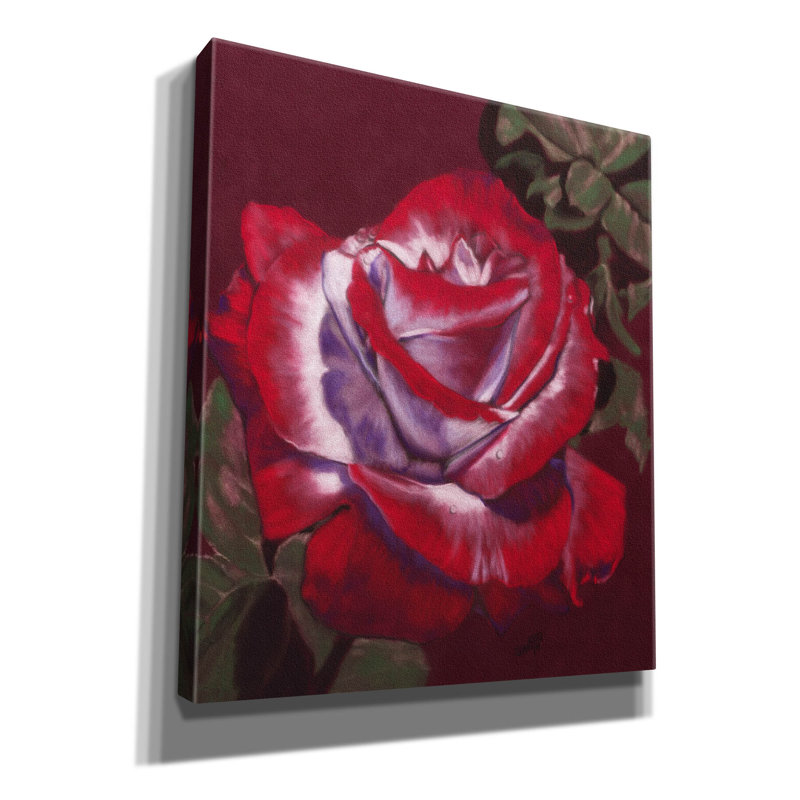 'Ruby' by Barbara Keith, Canvas Wall Art, 30" H x 26" W x 1.5" D