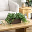 Artificial Plant in Planter