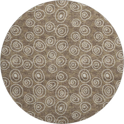 Premium Machine Washable Prisco Brown Rug