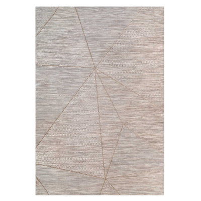 Beige Flatweave Indoor Outdoor Rug