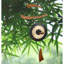 Carillon empereur gong-1236739056-1236739060