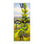 Horloge murale-1363184943