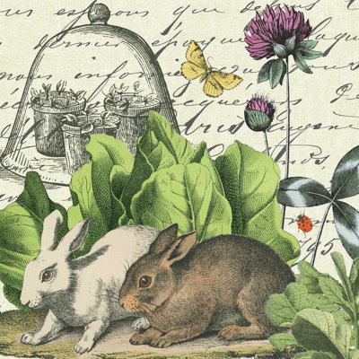 Garden Lapin II