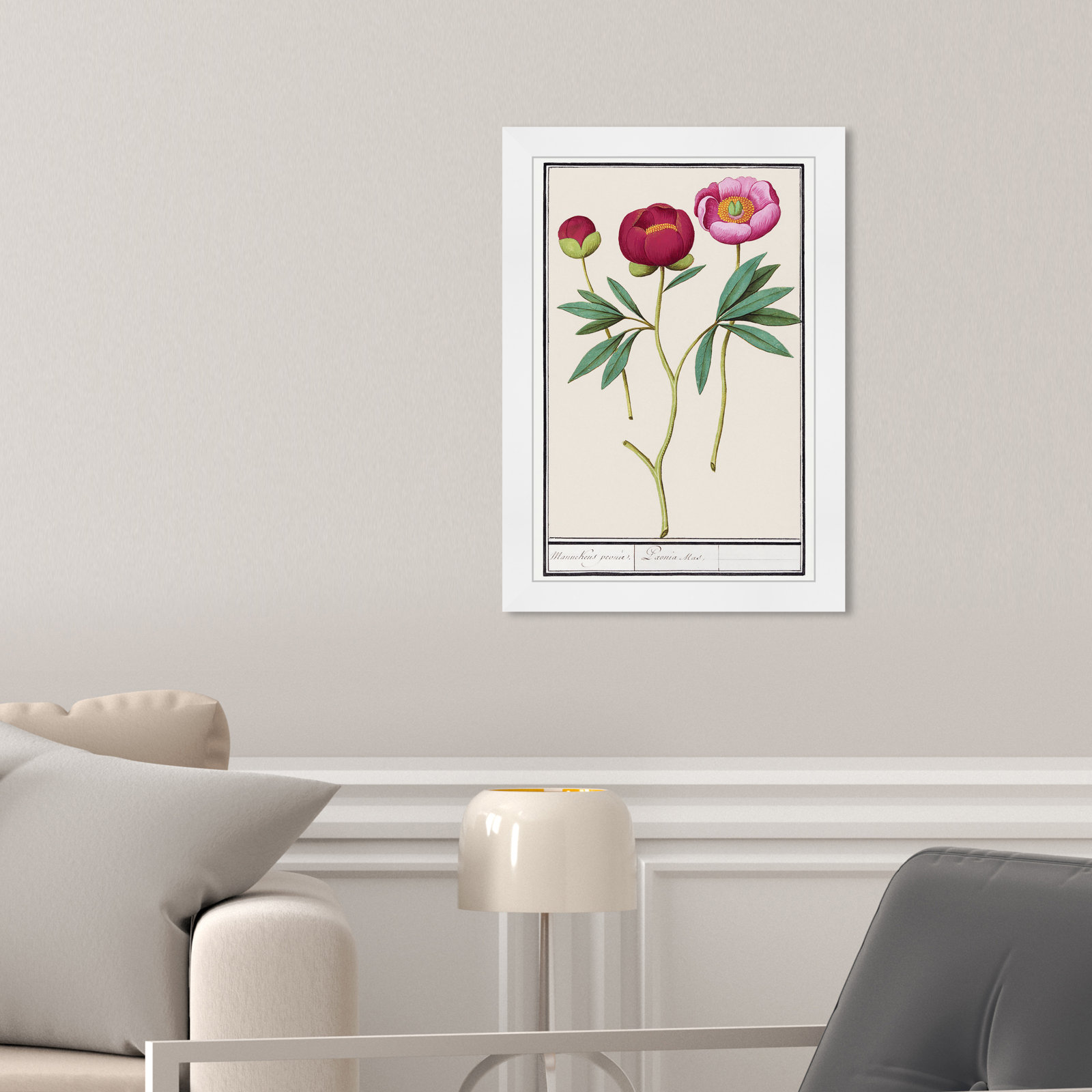 Red and Pink Peony Botanical Study Print, 17" H x 12" W, White