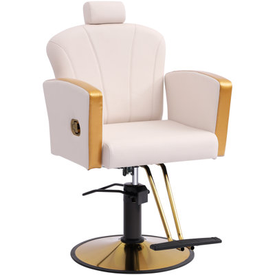 Salon Chair For Hair Stylist,Barber Chair For Home Barbershop With Professional Hydraulic Pump