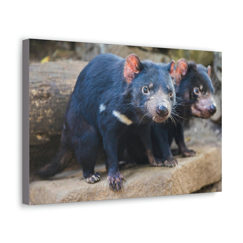 No Frame Print on Canvas, 30.48cm H x 45.72cm W