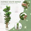 Plant-2104939306