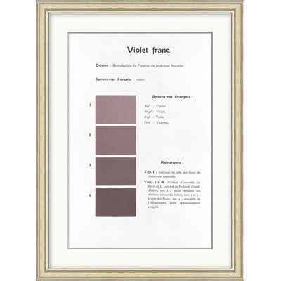 Violet 1 Print by Danielle Rollins