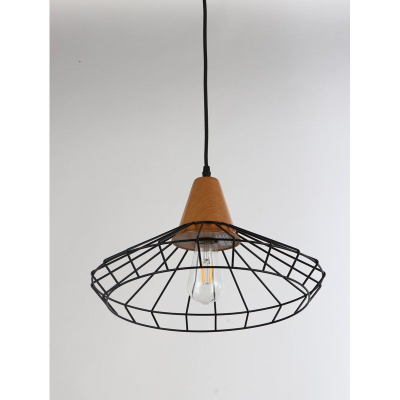 Luminaire suspendu conique à 1 lumière Danilo