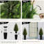 120cm Tree