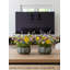 Bol en céramique Serene Spaces Living Emberstone - Bol de table large pour fourre-tout, clés, bonbons ou fruits, bol décoratif en céramique pour la maison et le bureau, 6,5 po de diamètre (ouverture de 6 po) et 3 po de hauteur, paquet de 6