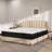 Raycliff Medium Hybrid Mattress-886177237-886958528