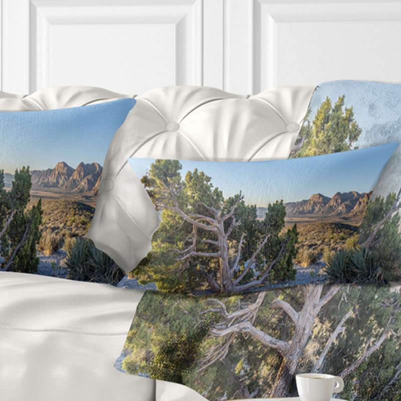 Coussin Schafer