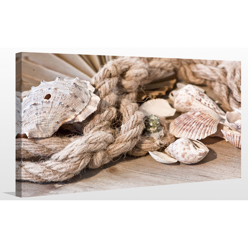 " Shells ", 24" H x 40" W x 1" D