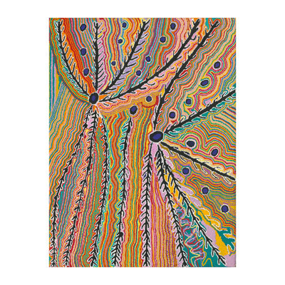 " Wakirlpirri Jukurrpa Multicolour "