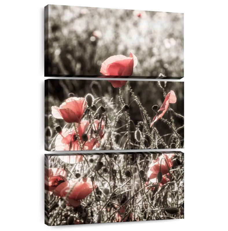 Harnek Poppy Idyll - couleur rétro, H 65 po x l 42 po