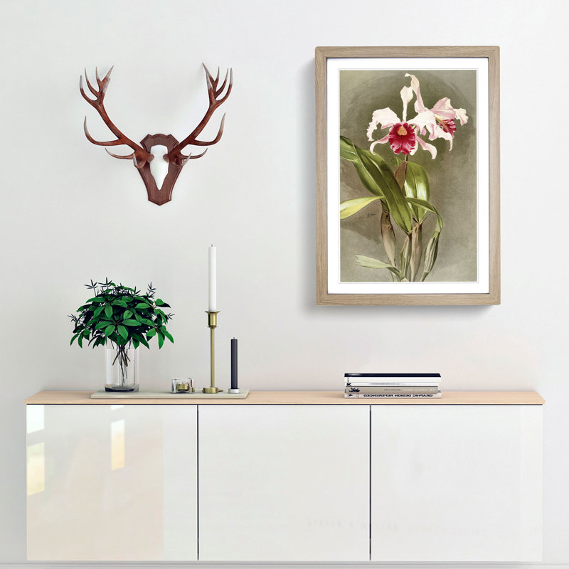 Magnolia Flowers Illustration Tab. 48 by Frederick Sander - Picture Frame Painting Print, 50cm H x 35cm W x 2cm D, Oak