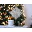 The Holiday Aisle®