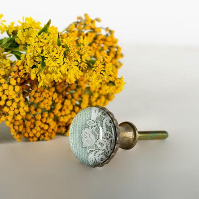 Abniel Oversized 1 3/2 Diameter Mushroom Knob