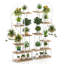 Plant Stand
