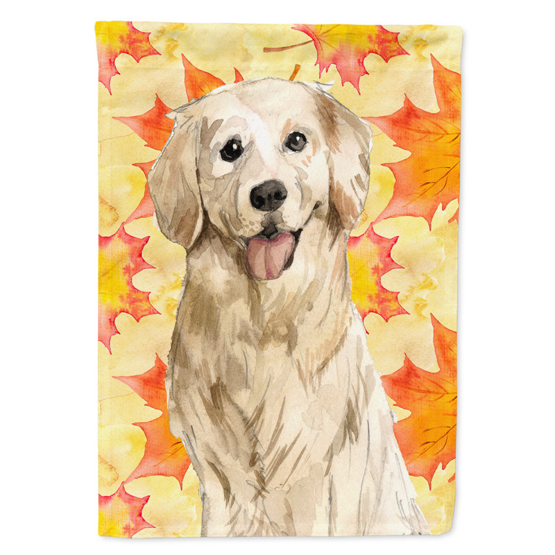 Double Sided 15'' H x 11'' W Polyester Animal Garden Flag, Yellow Retriever