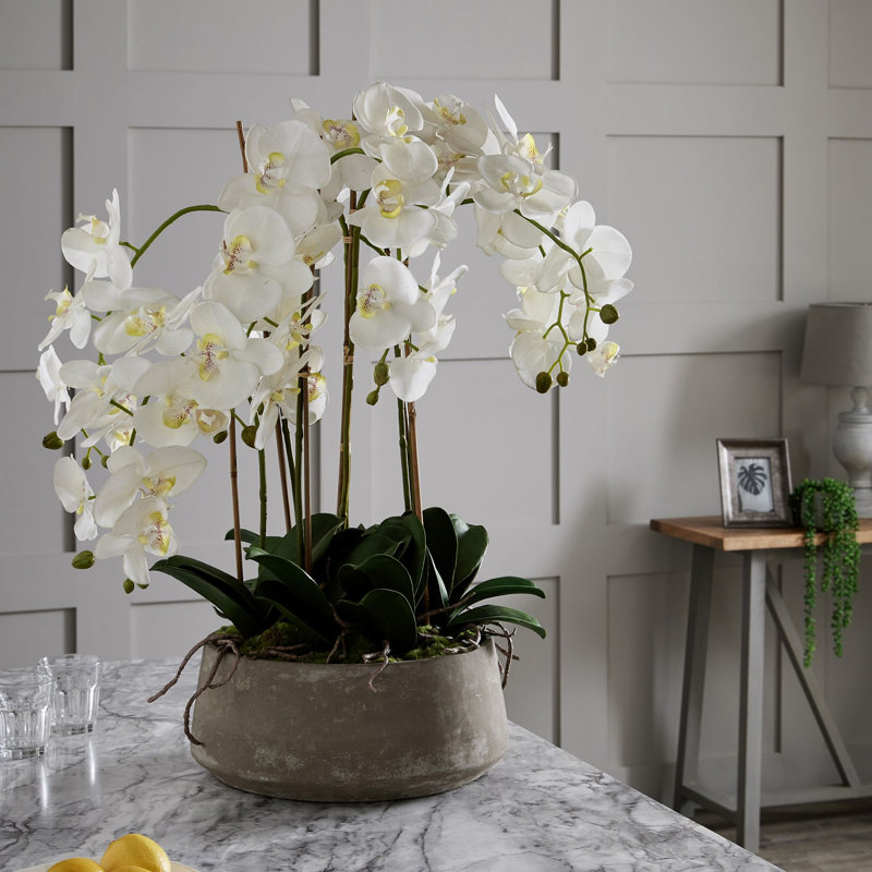 Annitta 90cm Plant in Pot