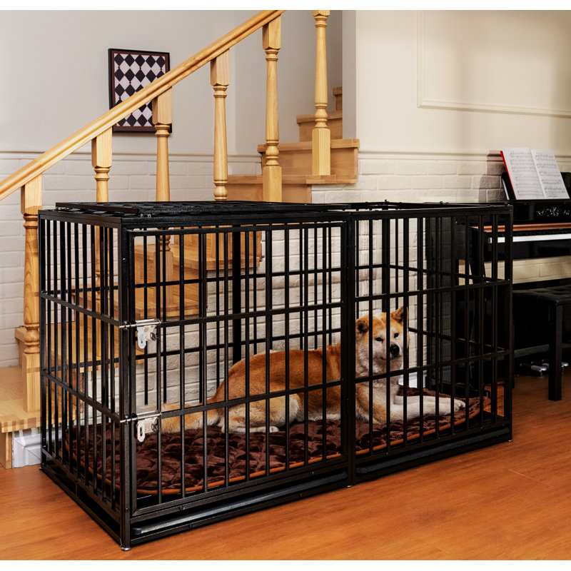 Cage pour chien robuste en cage pour chien
