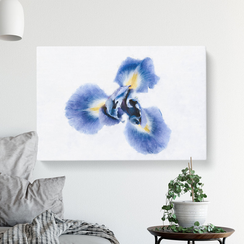 An Iris Flower In Blue - Wrapped Canvas Painting, 50cm H x 76cm W x 3cm D