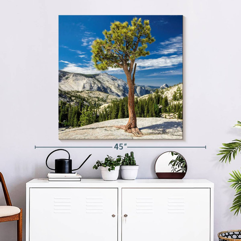 Arbre Harnek Yosemite Park, H 33 po x l 33 po