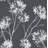 Bentley-Jay Peel & Stick Floral Roll-845278419