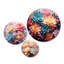 Impression murale succulente colorée et romantique II sur métal, impression de 3 pièces